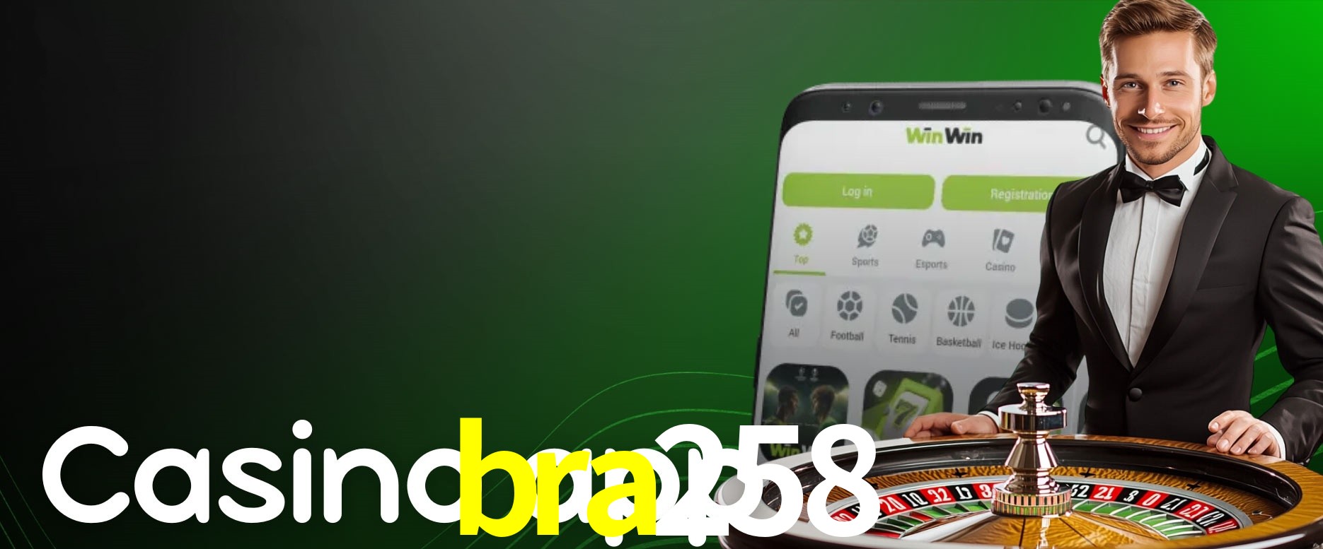 API Integration bra258